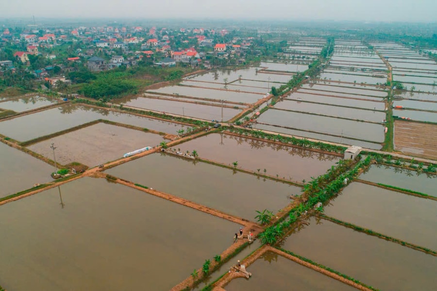 Chuyển đổi tư duy sản xuất nông nghiệp xanh, sạch