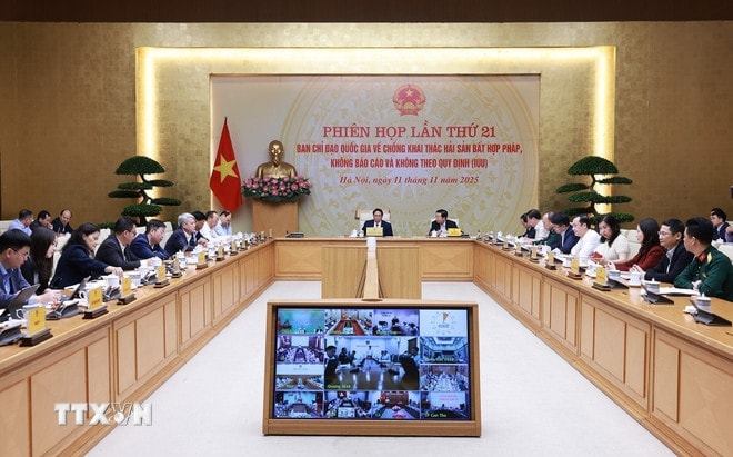 Tổ chức tuần cao điểm của tháng cao điểm chống khai thác IUU