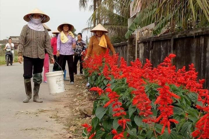 Mát xanh những con đường nông thôn mới