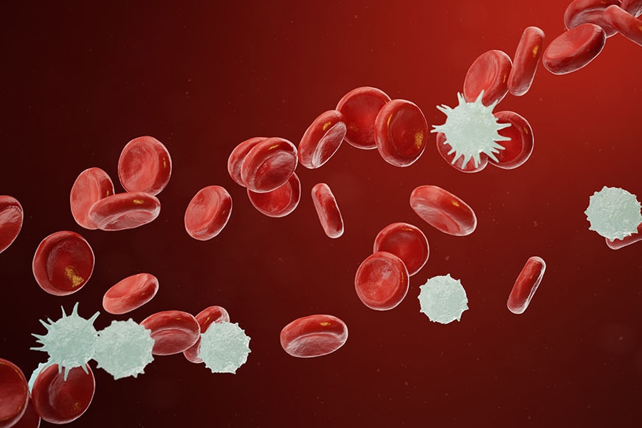 Tin tức, h&igrave;nh ảnh, video clip mới nhất về tế b&agrave;o ung thư