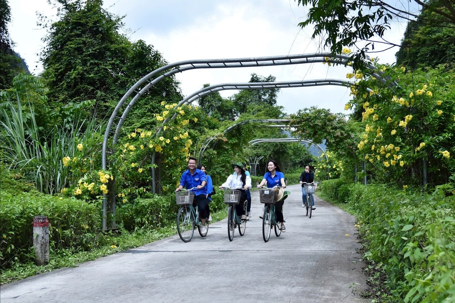 United efforts create new look for Hai Phong city