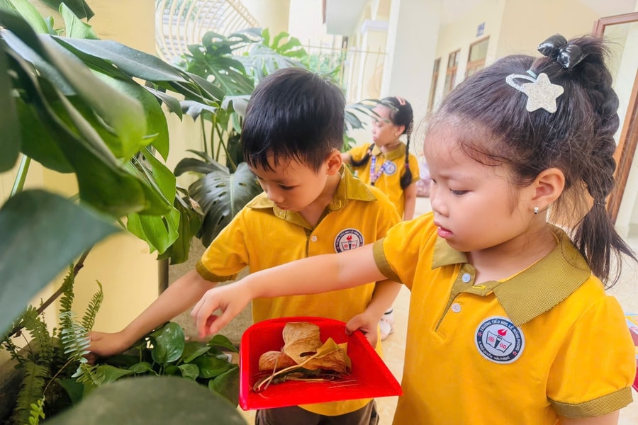 Bổ ích từ những góc học tập xanh