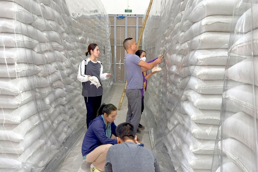 Hoàn tất kế hoạch nhập kho 500.000 tấn lương thực năm 2025
