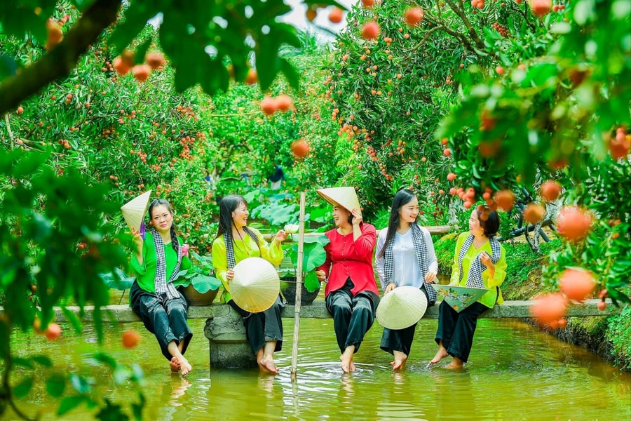 Hai Phong promotes rural tourism advantages