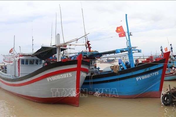 Hơn 360 tàu thuyền đã được hướng dẫn neo đậu an toàn