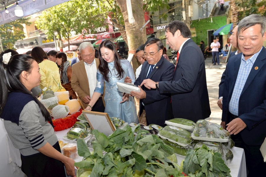 Nhiều hoạt động trong Tháng hành động vì hợp tác xã