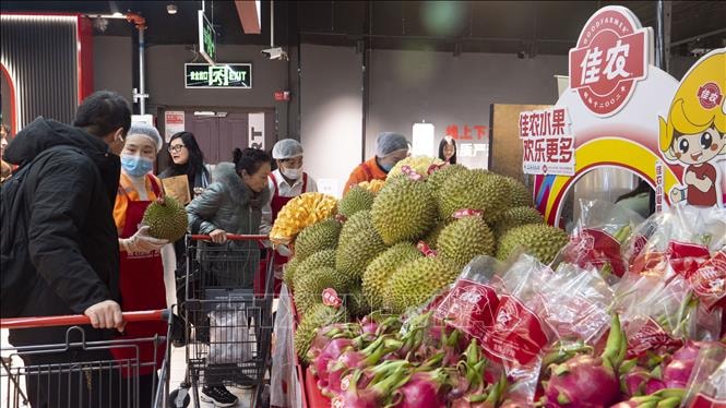 Quảng bá sản phẩm, trái cây Việt Nam tại Trung Quốc