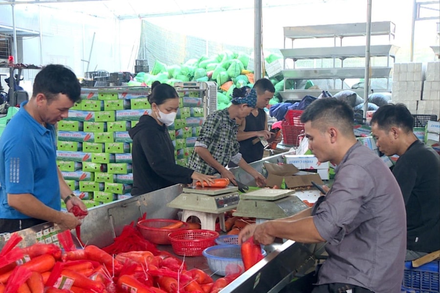 11 tháng, xuất khẩu nông lâm thủy sản đạt hơn 64 tỷ USD