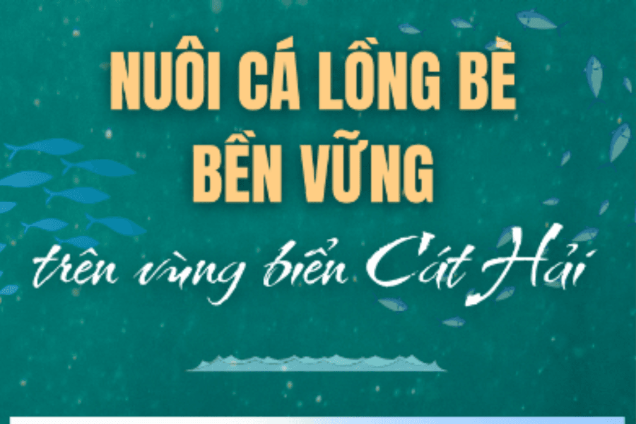Nuôi cá lồng bè bền vững trên vùng biển Cát Hải