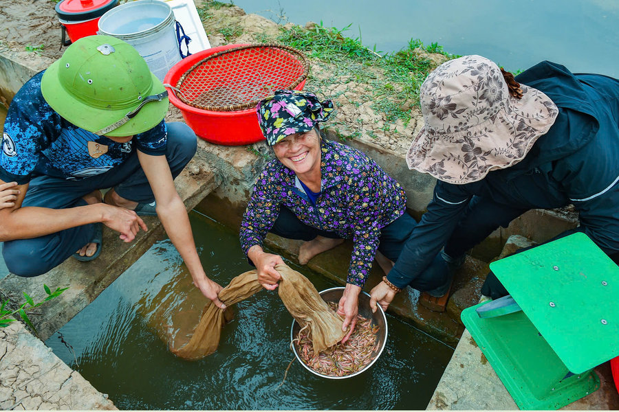 Khai thác rươi trong đồng ở xã Chí Minh