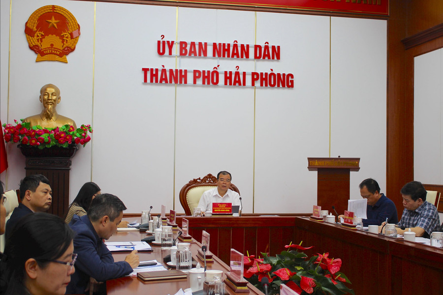 Xem xét phương án sắp xếp trường học và các chính sách phát triển giáo dục ở Hải Phòng