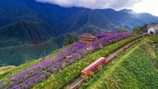 Top 3 khách sạn 5 sao tại Sa Pa được du khách yêu thích theo Traveloka