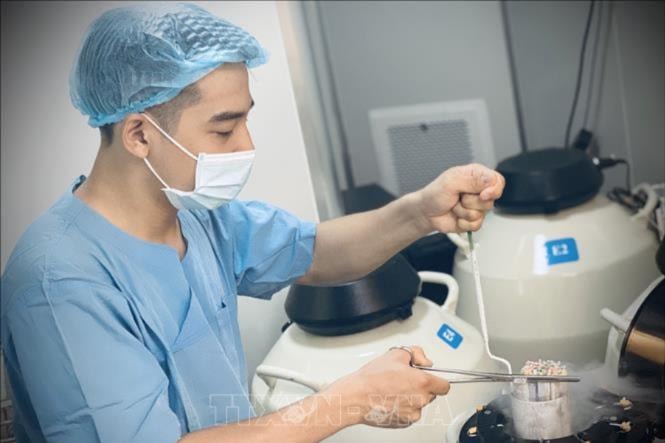 'Ươm mầm hạnh phúc' sẽ trợ giúp 80 cặp vợ chồng hiếm muộn