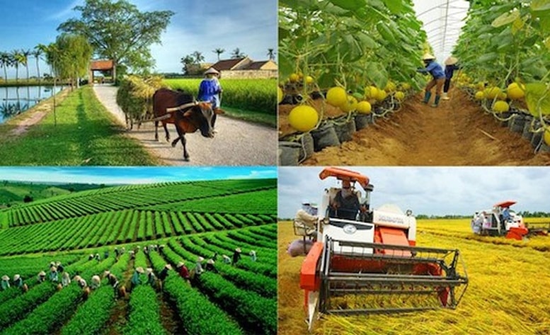 Ký kết gói tài chính 250 triệu USD hỗ trợ nông nghiệp bền vững, nữ chủ doanh nghiệp