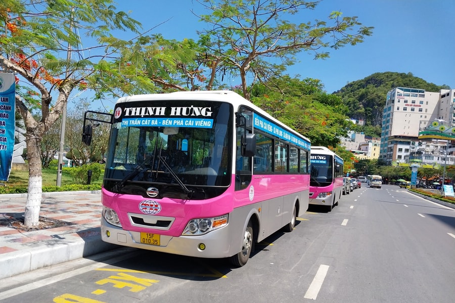 Tuyến buýt Cái Viềng - Cát Bà chạy sớm hơn từ 1/1/2026
