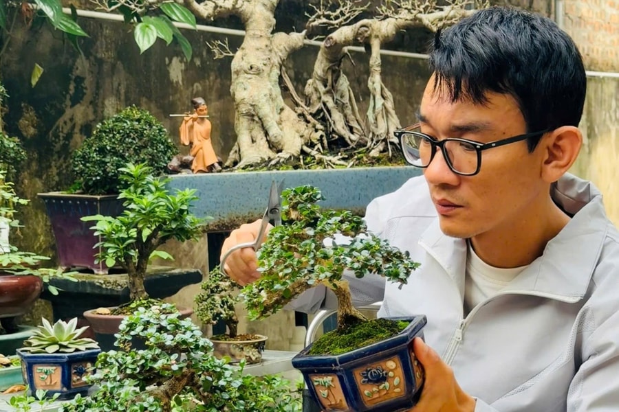 Độc đáo thú chơi bonsai mini