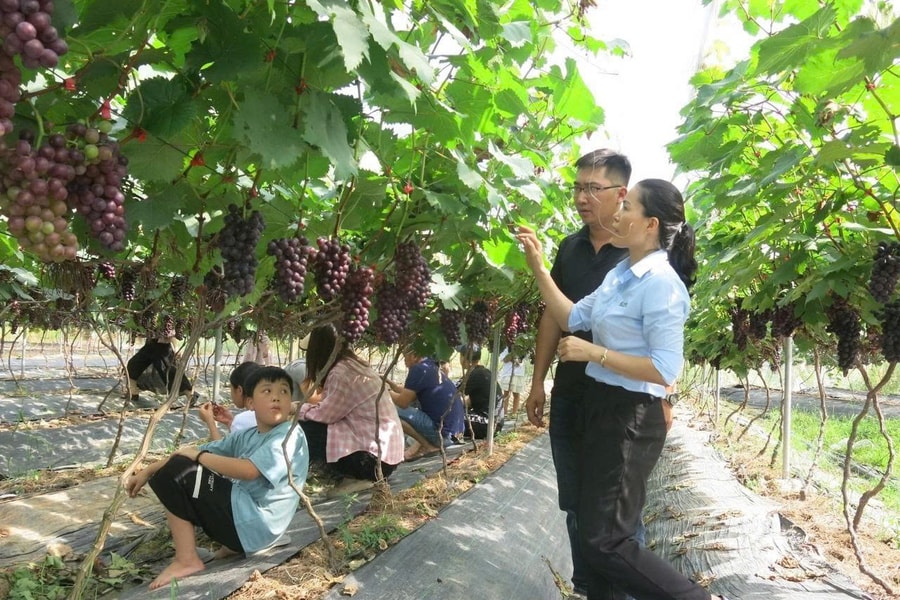 New trends in agricultural production
