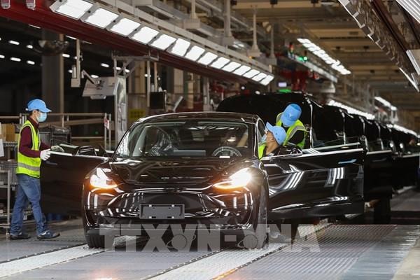 Doanh số xe Tesla năm 2025 giảm gần 40% tại EU