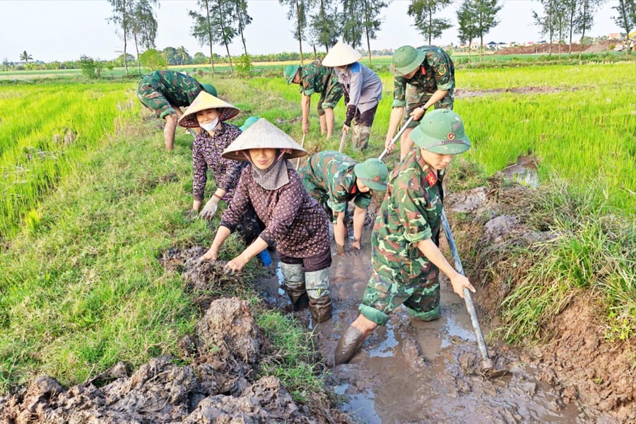 Lữ đoàn 214 giúp dân