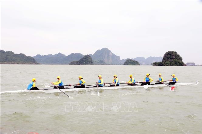 Hơn 500 vận động viên tham gia giải đua thuyền quốc gia năm 2025