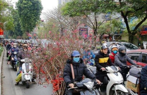 Hải Phòng công bố 2 đường dây nóng tiếp nhận thông tin giao thông
