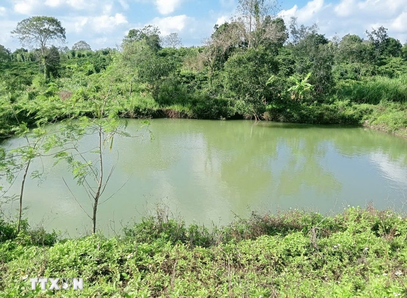 Rủ nhau đi tắm hồ, 3 cháu nhỏ bị đuối nước thương tâm