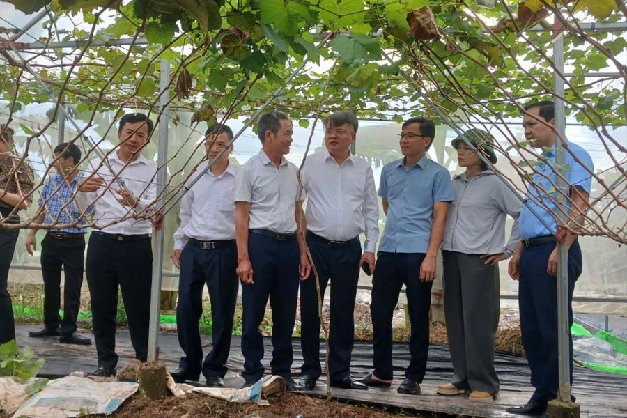 Đồng hành với nông dân phát triển nông nghiệp sinh thái, nông thôn hiện đại