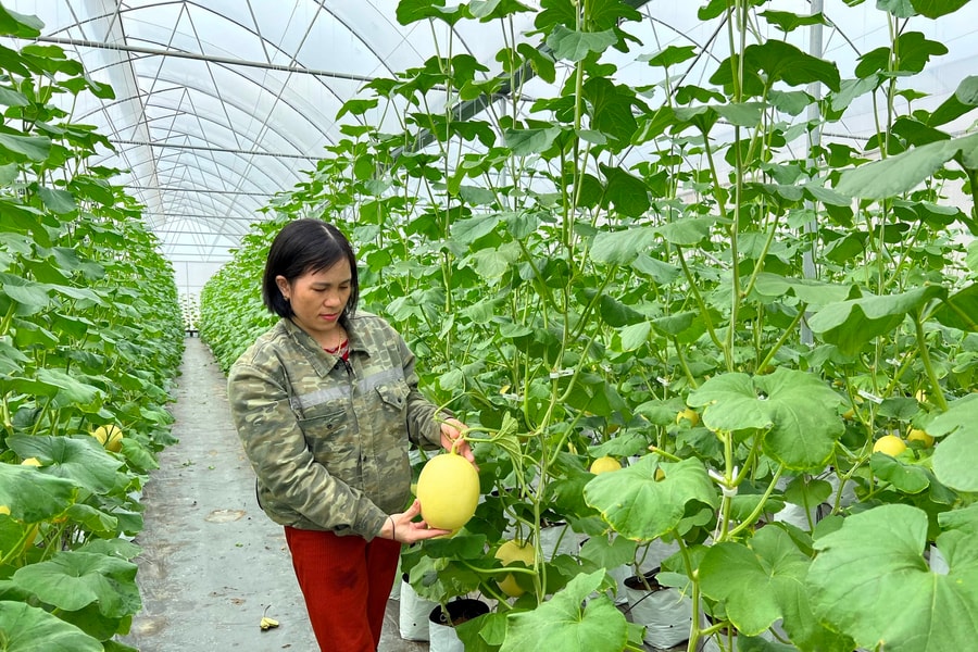 Hai Phong has 475 Production Unit Codes