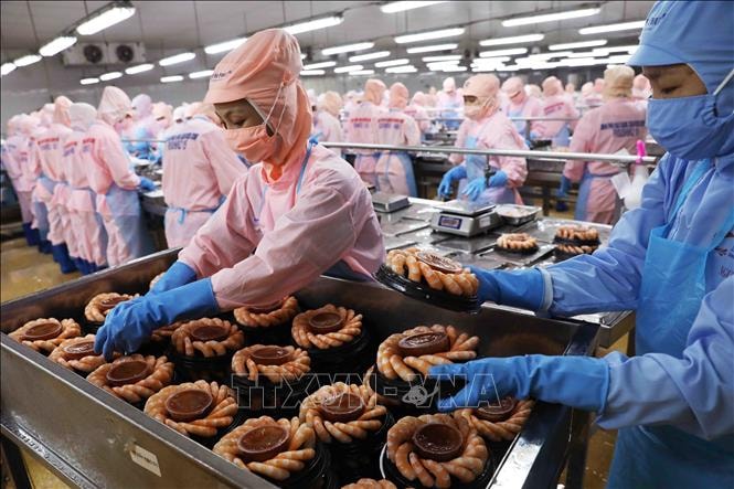 Năm 2025, ngành nông nghiệp và môi trường hoàn thành và vượt 9/9 chỉ tiêu