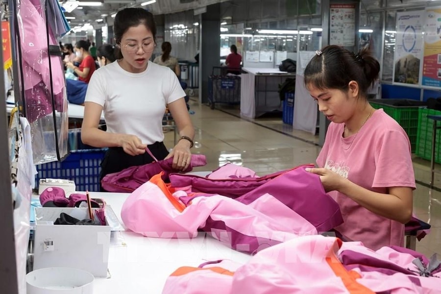 Restructuring exports to deepen Vietnamese products’ global integration