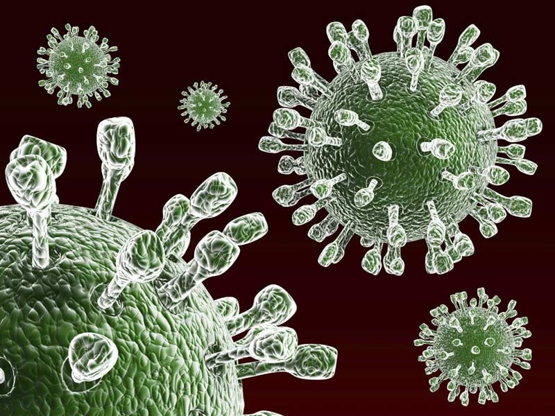 Hai Phong rolls out free Rotavirus Vaccine to infants from 2026