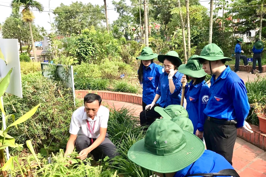 Phát triển Đảng trong các trường cao đẳng ở Hải Phòng