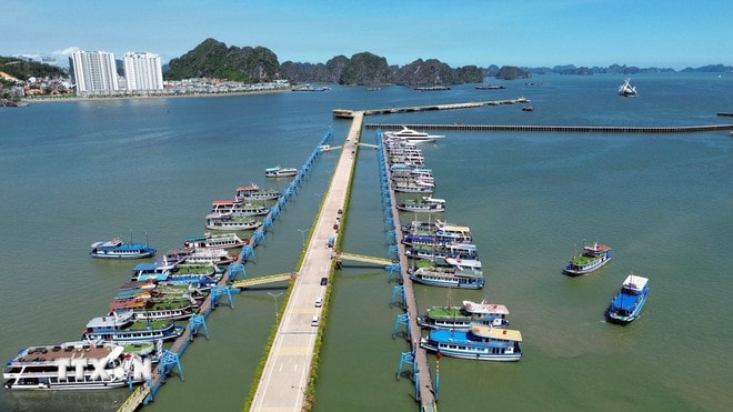 Du thuyền “made in Vietnam” ra khơi nhưng chậm nhịp tại thị trường trong nước