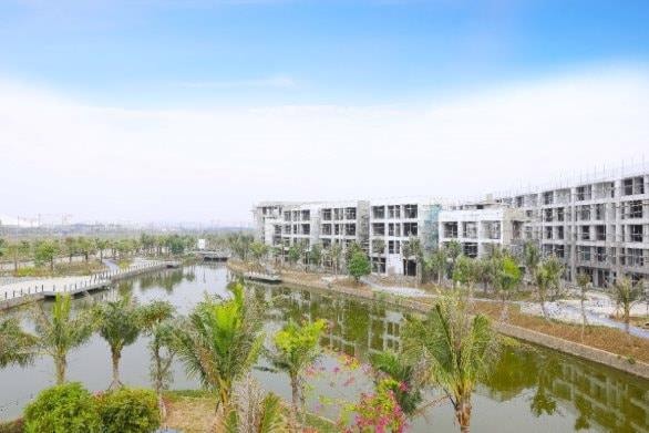 Dự án Bạch Đằng 1288 'tung' chính sách cam kết tiền thuê lên tới 1,6 tỷ đồng/2 năm