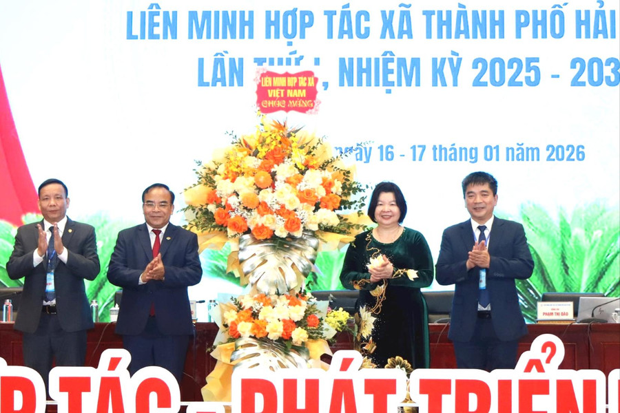 Liên minh Hợp tác xã thành phố Hải Phòng đổi mới, hợp tác, phát triển bền vững