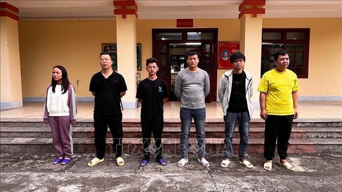 Khởi tố vụ án 'Tổ chức cho người khác ở lại Việt Nam trái phép'