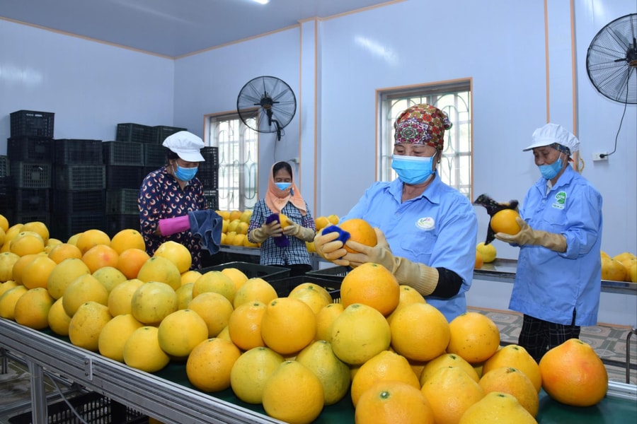 Doanh nghiệp cần quản lý chặt chất lượng nông sản xuất khẩu sang Ba Lan