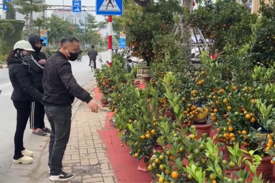 Không khí Tết đã về trên nhiều góc phố Hải Phòng