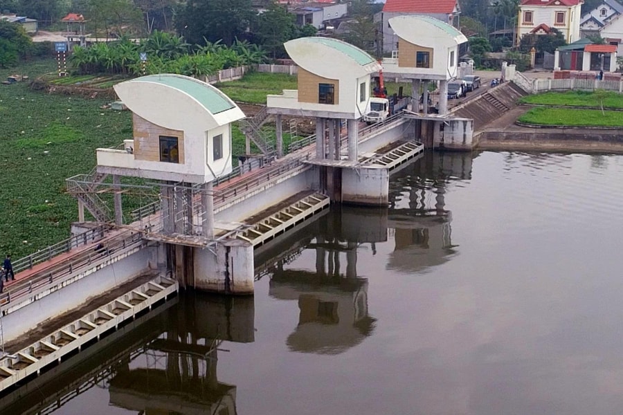 Bắc Hưng Hải cấp nước đổ ải cho gần 31.000 ha lúa tại Hải Phòng