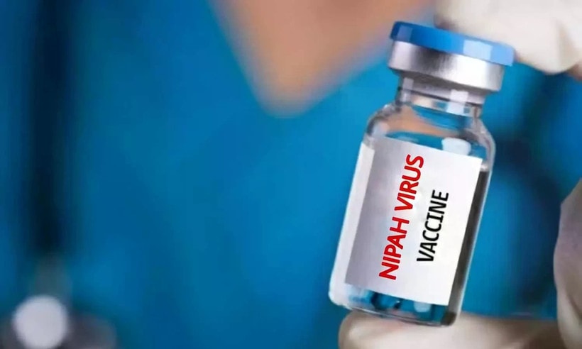 Nhật Bản thử nghiệm lâm sàng vaccine Nipah