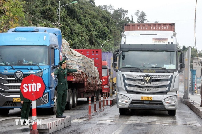 Hải quan phối hợp giải phóng nông sản ùn ứ ở các cửa khẩu