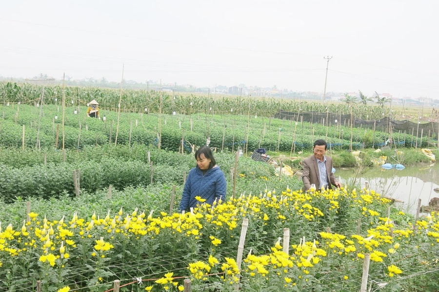 Favorable weather leads to bumper flower crop