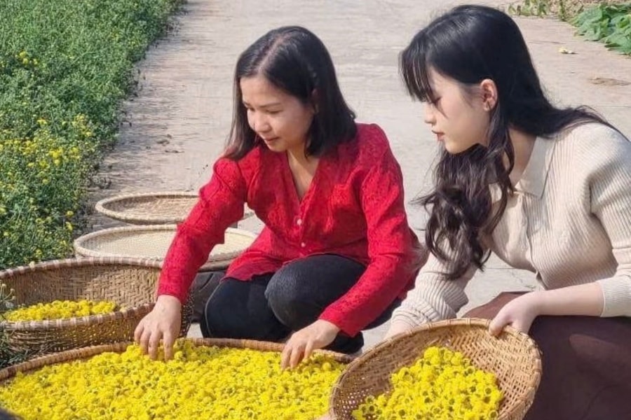 Hai Phong OCOP products dominate Tet gift baskets