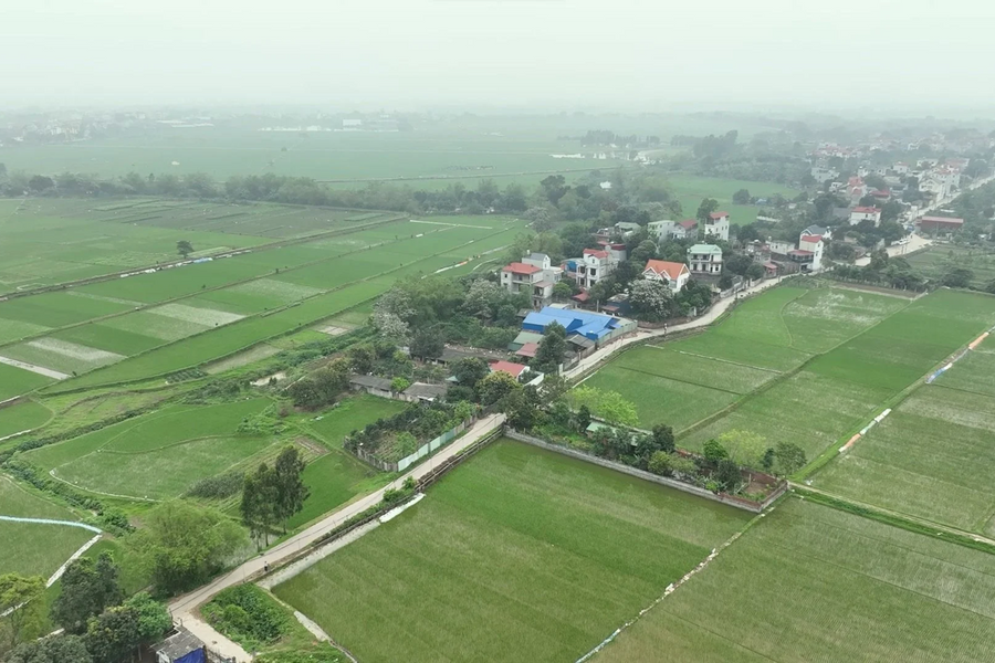 Gian dối để hưởng ưu đãi tiền sử dụng đất sẽ bị truy thu và tính tiền chậm nộp