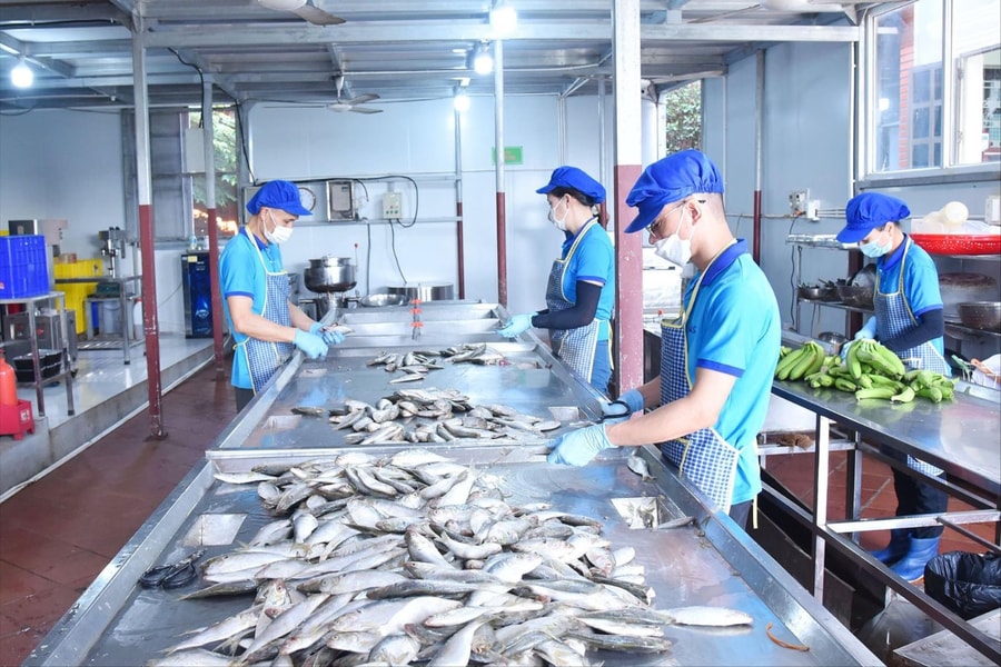 Triển khai các biện pháp kiểm dịch thực phẩm bảo đảm an toàn dịp Tết Nguyên đán