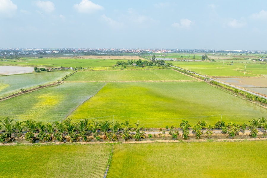 Hải Phòng ban hành đơn giá bồi thường thiệt hại với cây trồng, thủy sản khi thu hồi đất