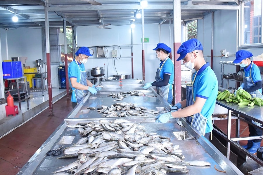 Ensuring food hygiene and safety during Tet