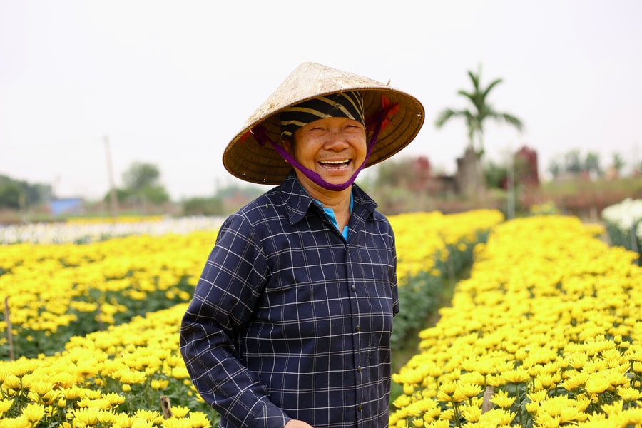 Những làng hoa ở Hải Phòng khoe sắc xuân