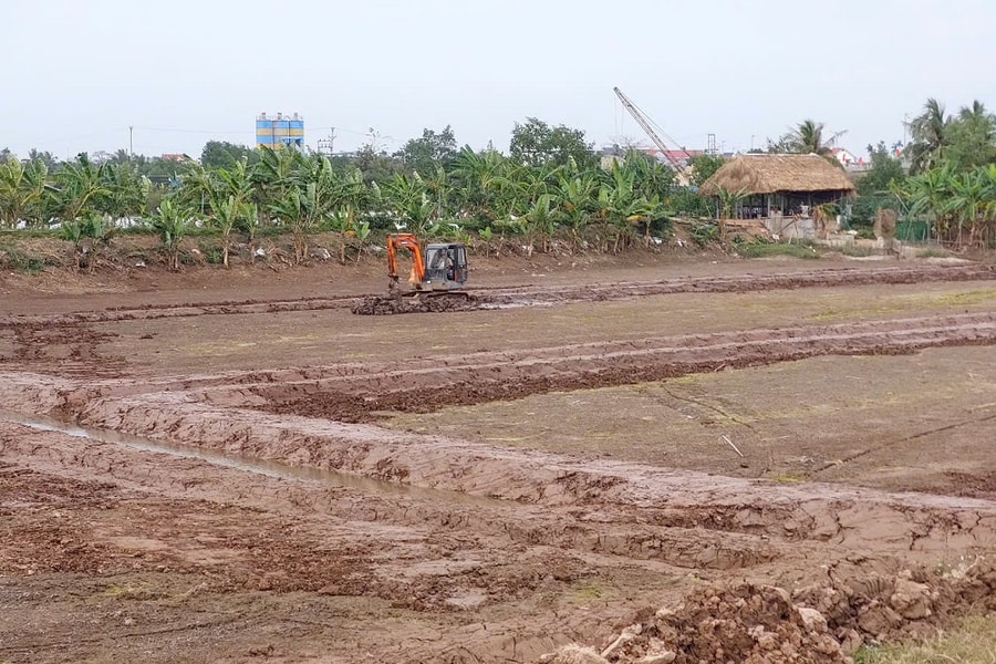Nông dân Hải Phòng chuẩn bị cho vụ nuôi thủy sản mới