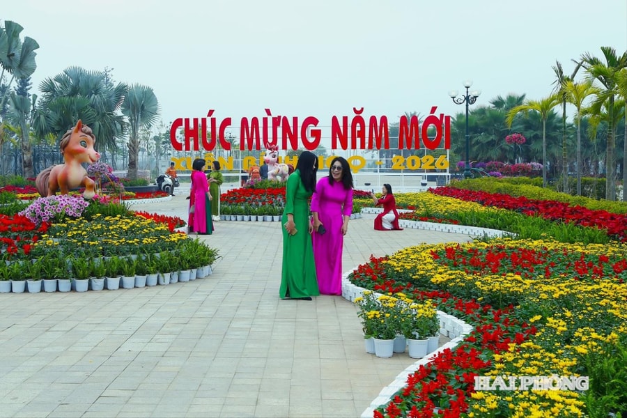 Hoàn thành trang trí đường hoa lớn nhất Hải Phòng